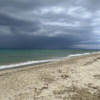 IMG_9317